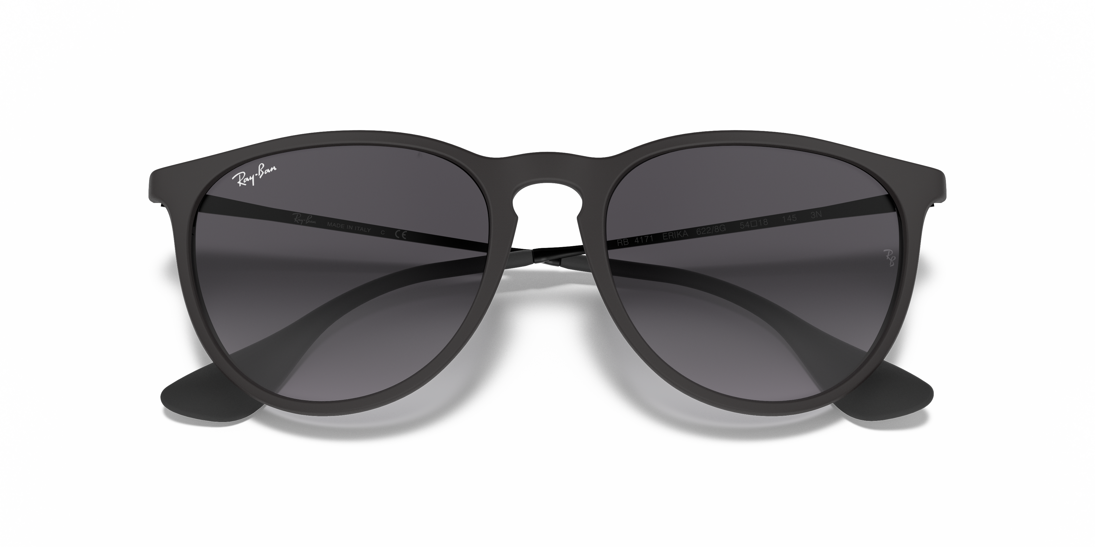 Ray-Ban RB4171 Erika Classic