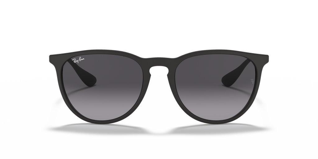Ray-Ban RB4171 Erika Classic