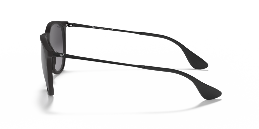 Ray-Ban RB4171 Erika Classic