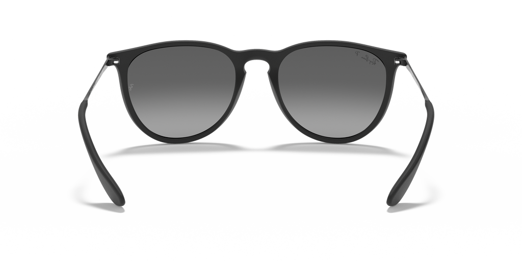 Ray-Ban RB4171 Erika Color Mix