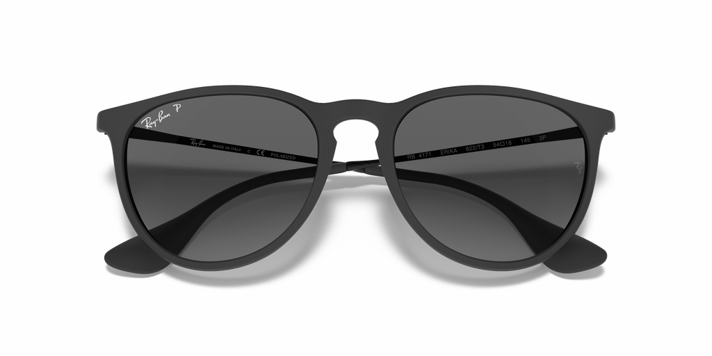 Ray-Ban RB4171 Erika Color Mix