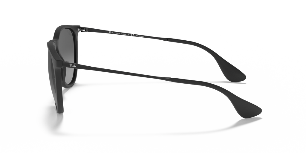Ray-Ban RB4171 Erika Color Mix