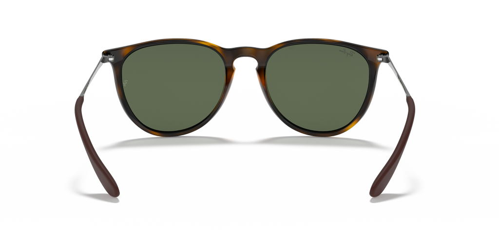 Ray-Ban RB4171 Erika Classic