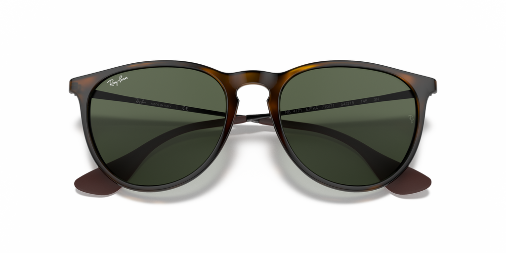 Ray-Ban RB4171 Erika Classic