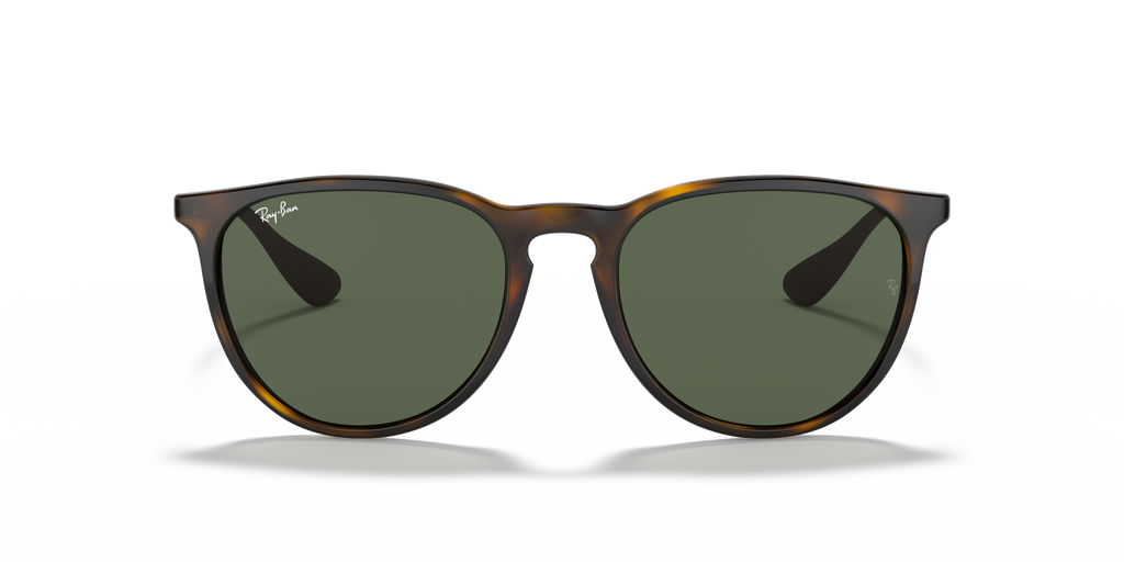 Ray-Ban RB4171 Erika Classic