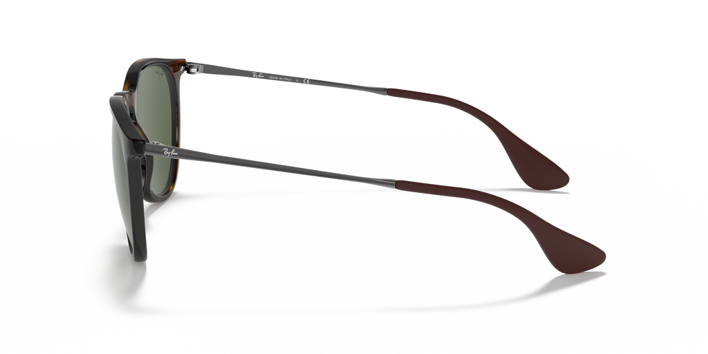 Ray-Ban RB4171 Erika Classic