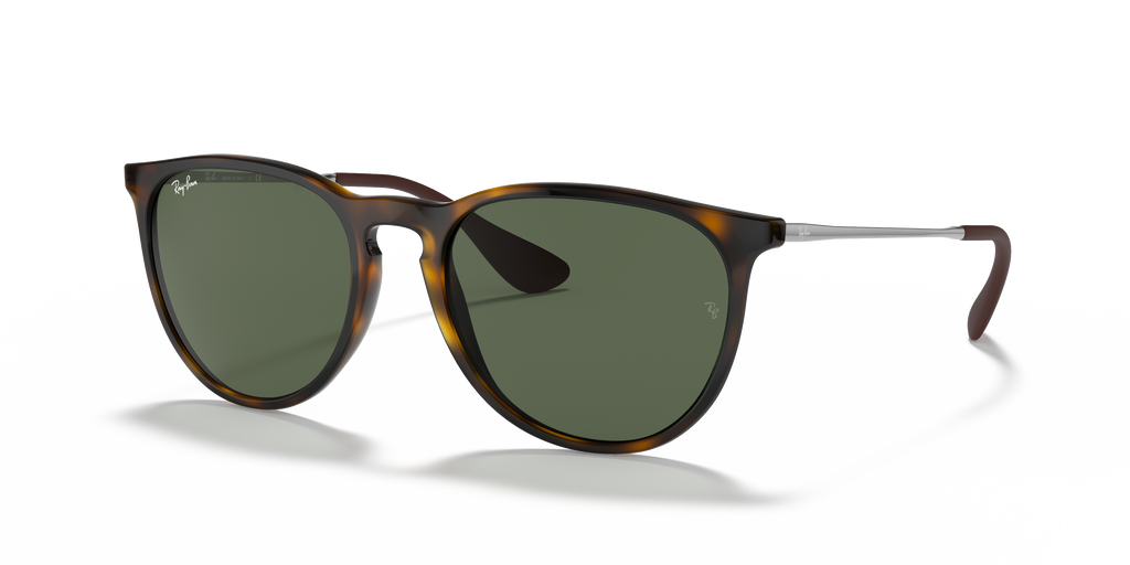Ray-Ban RB4171 Erika Classic
