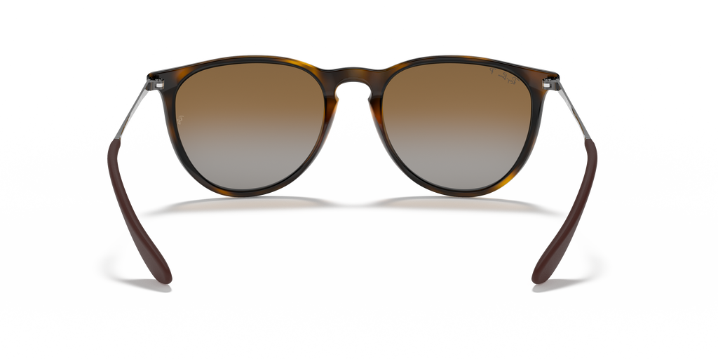 Ray-Ban RB4171 Erika Classic