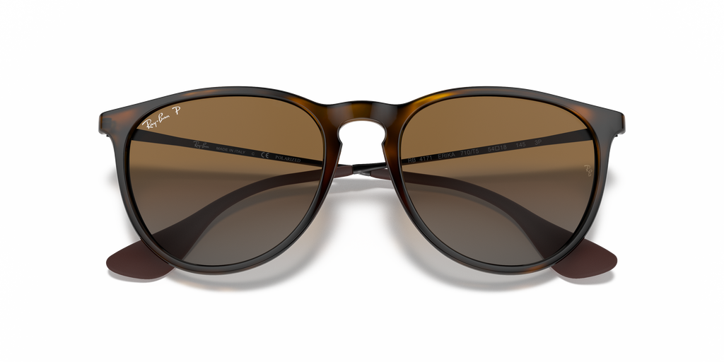Ray-Ban RB4171 Erika Classic