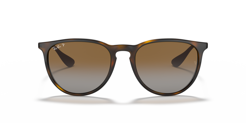 Ray-Ban RB4171 Erika Classic