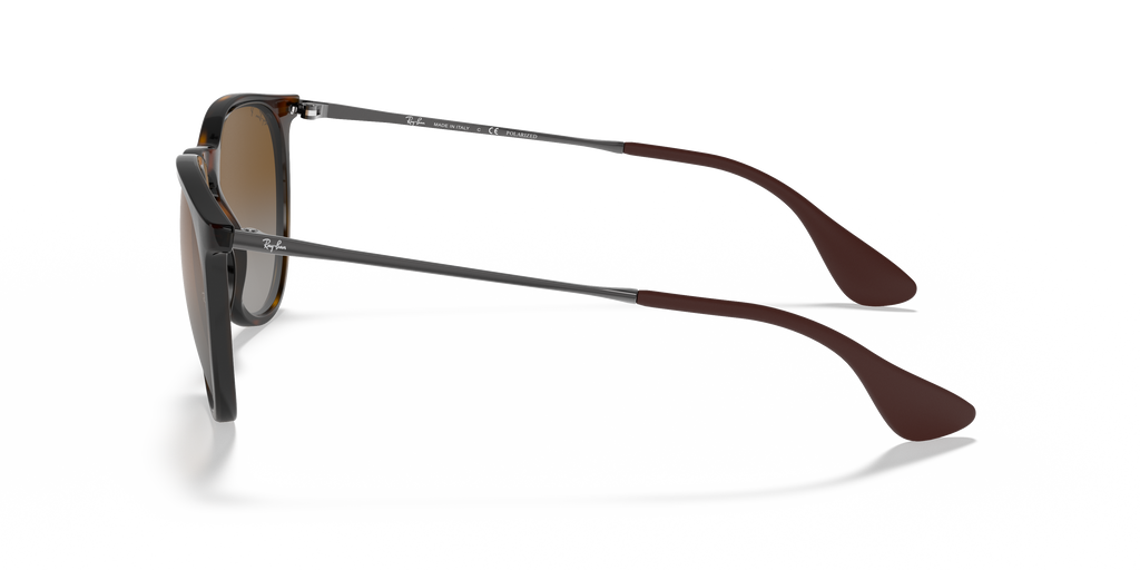 Ray-Ban RB4171 Erika Classic