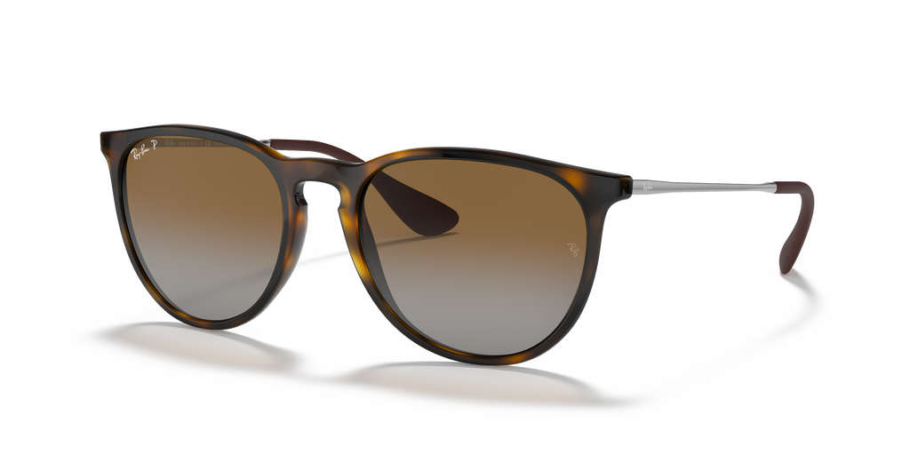 Ray-Ban RB4171 Erika Classic