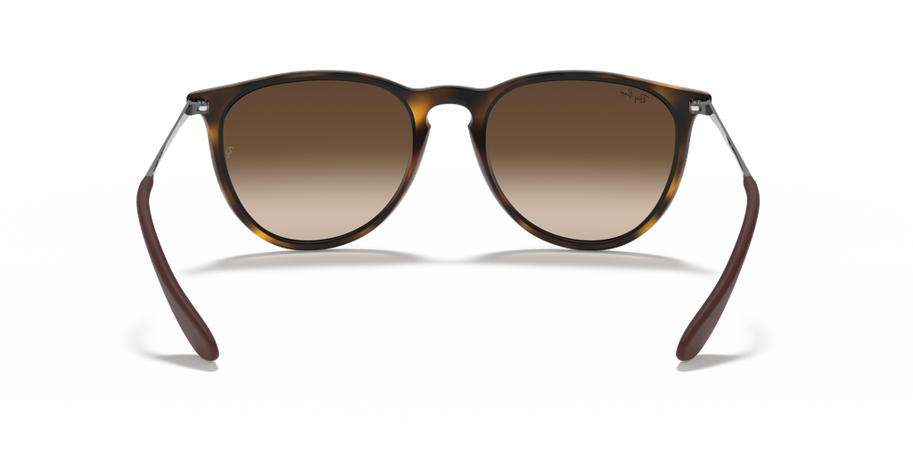 Ray-Ban RB4171 Erika Classic