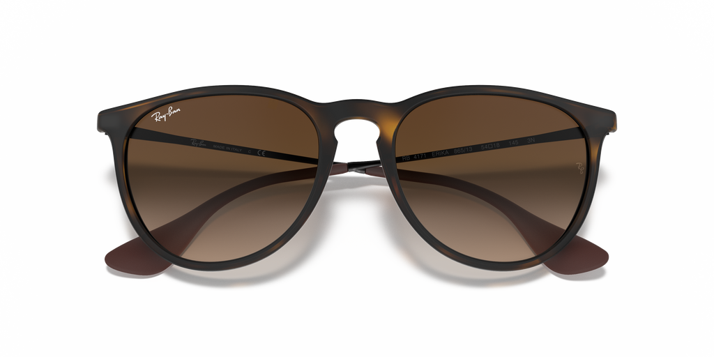 Ray-Ban RB4171 Erika Classic