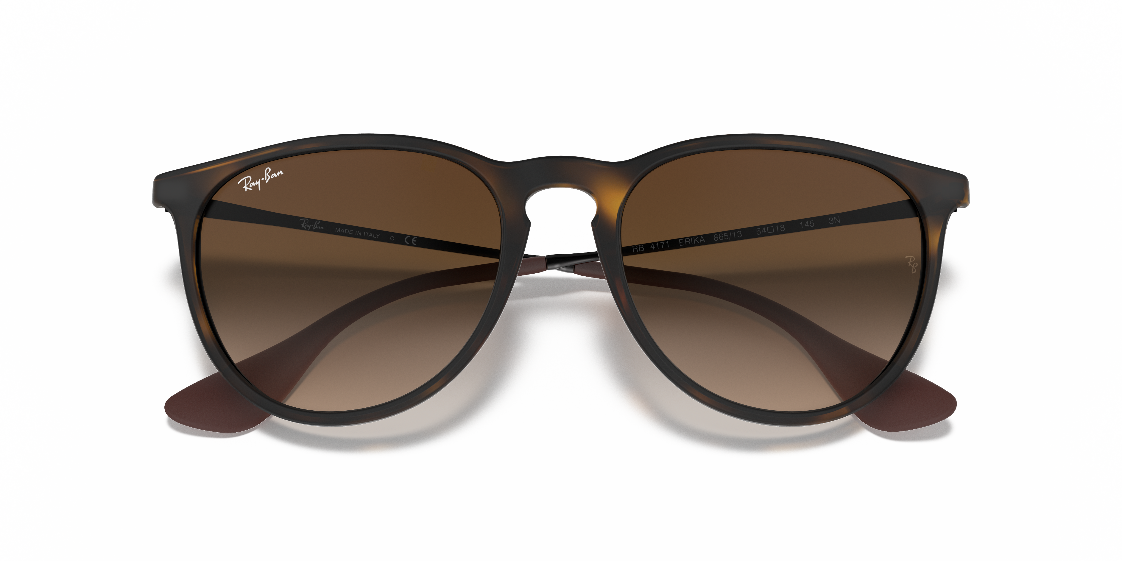 Ray-Ban RB4171 Erika Classic