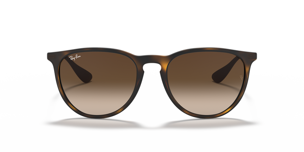 Ray-Ban RB4171 Erika Classic