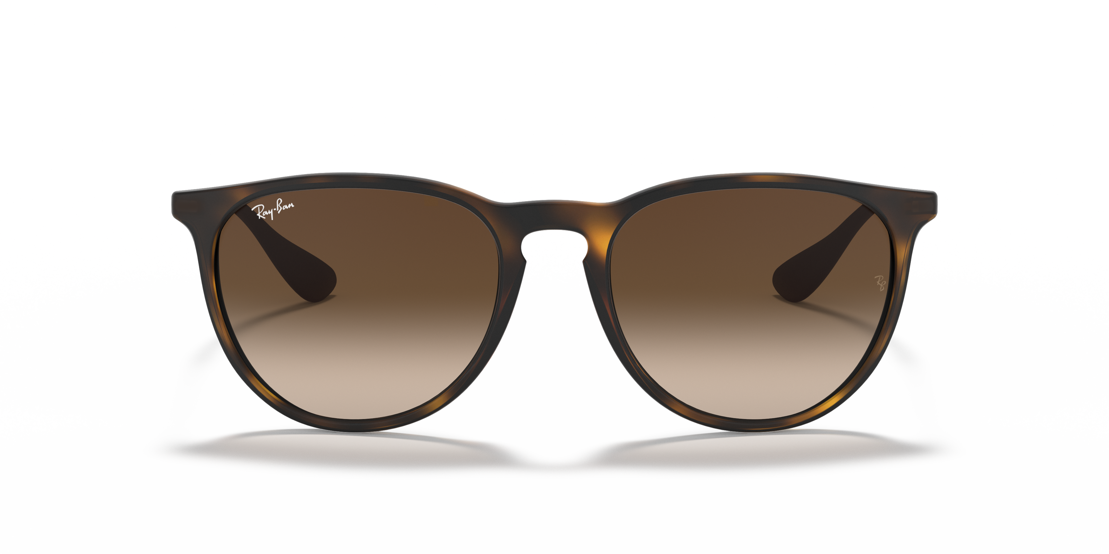Ray-Ban RB4171 Erika Classic