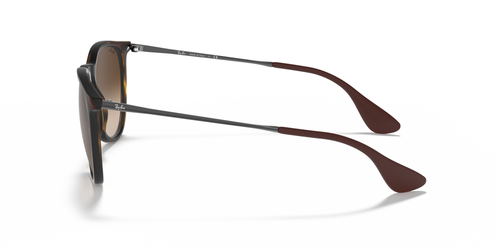 Ray-Ban RB4171 Erika Classic