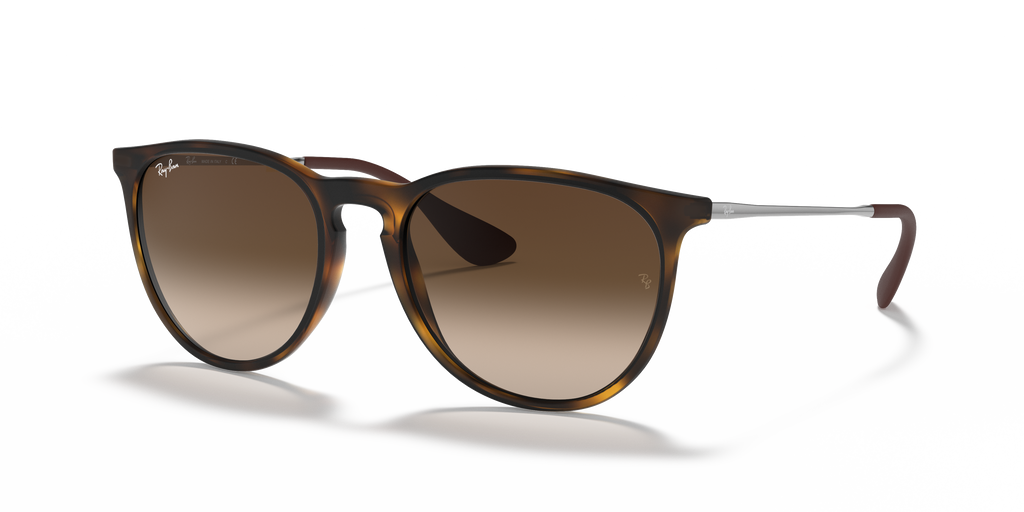 Ray-Ban RB4171 Erika Classic