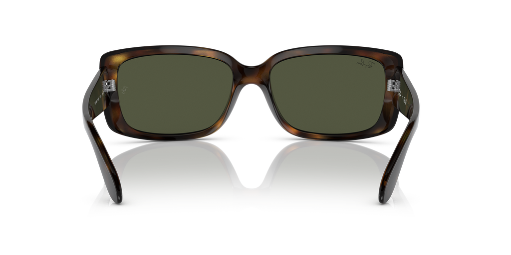 Ray-Ban RB4389