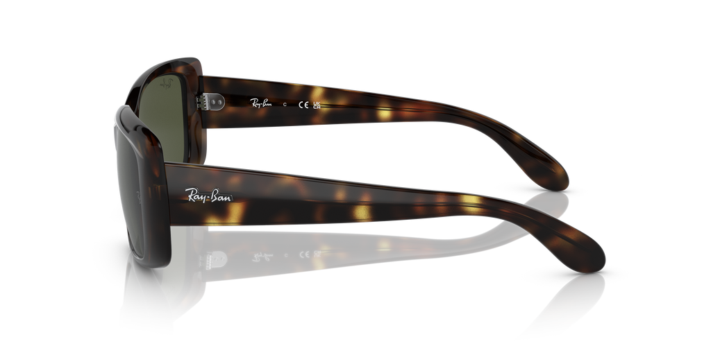 Ray-Ban RB4389