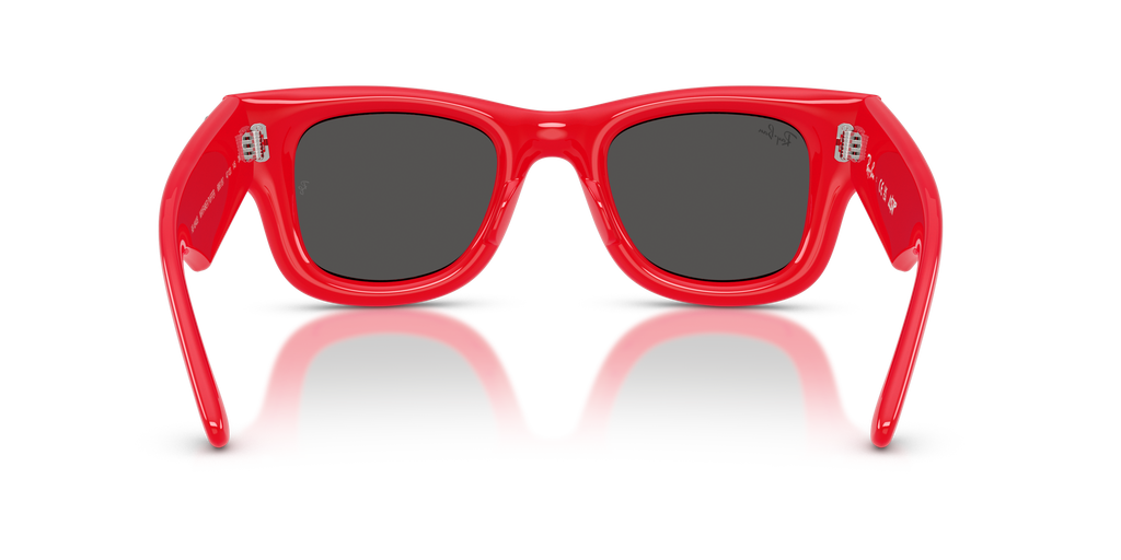 Ray-Ban RB4940B Wayfarer Puffer Crystal Edition