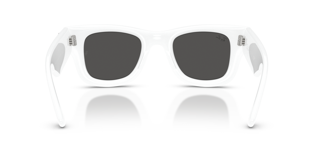 Ray-Ban RB4940B Wayfarer Puffer Crystal Edition