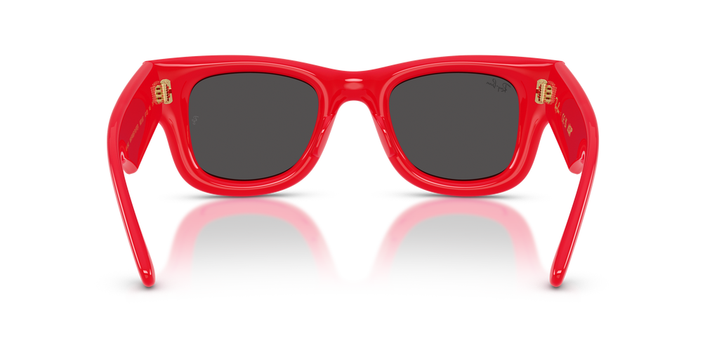 Ray-Ban RB4940 Wayfarer Puffer