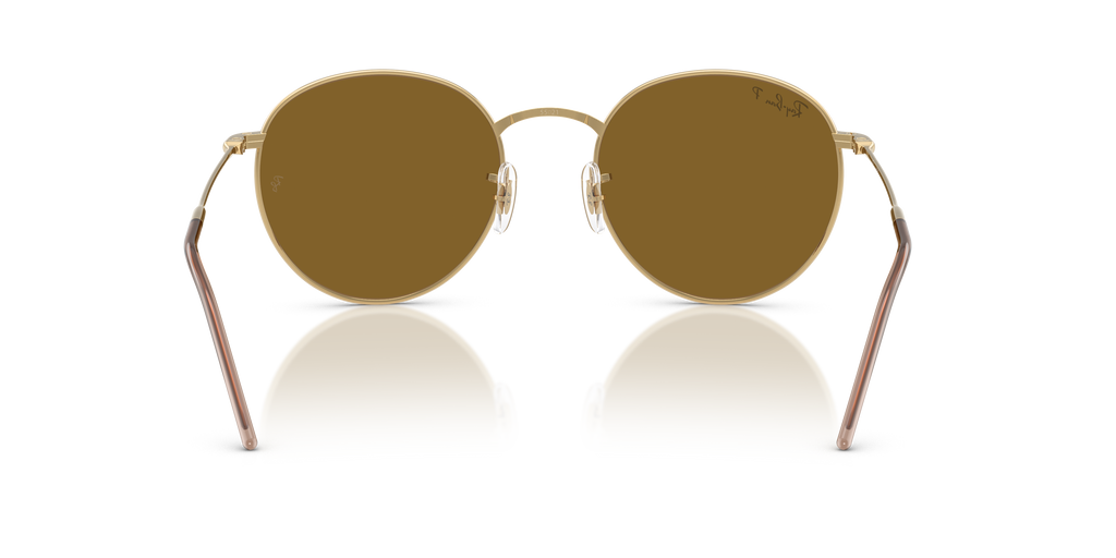 Ray-Ban RBR0103S Round Reverse
