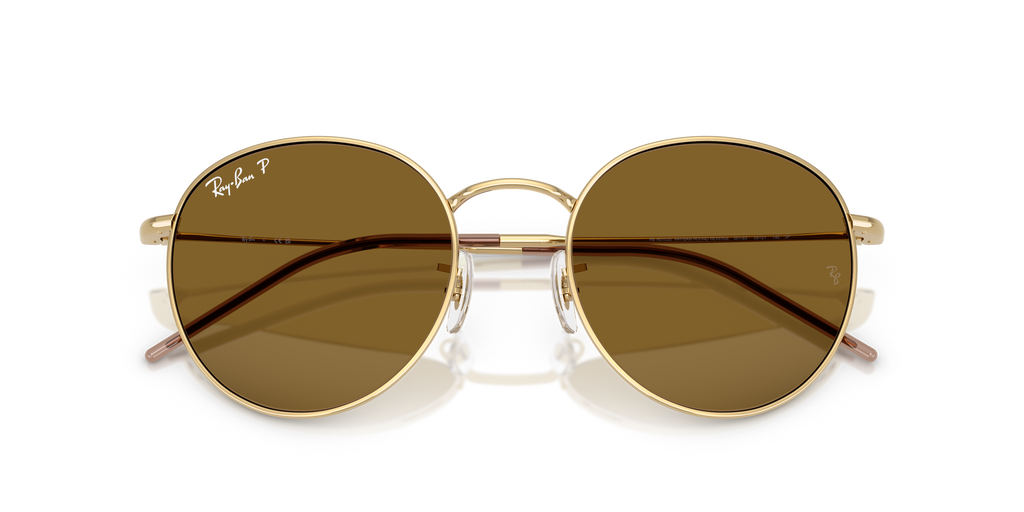 Ray-Ban RBR0103S Round Reverse
