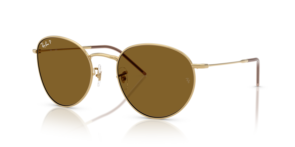 Ray-Ban RBR0103S Round Reverse