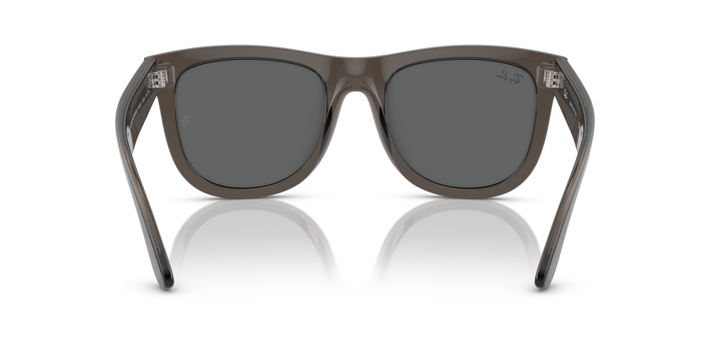 Ray-Ban RBR0502S Wayfarer Reverse