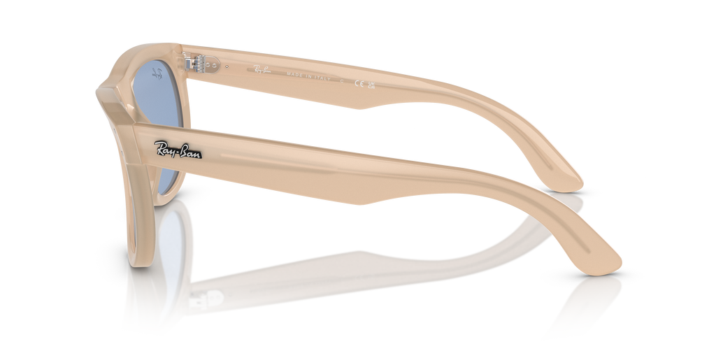 Ray-Ban RBR0502S Wayfarer Reverse