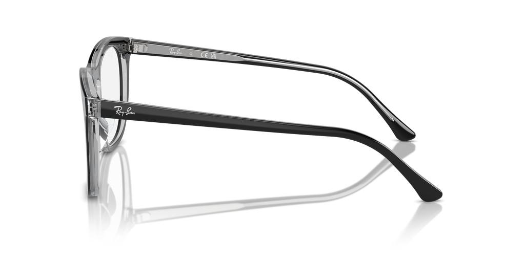 Ray-Ban RB2210V Optics