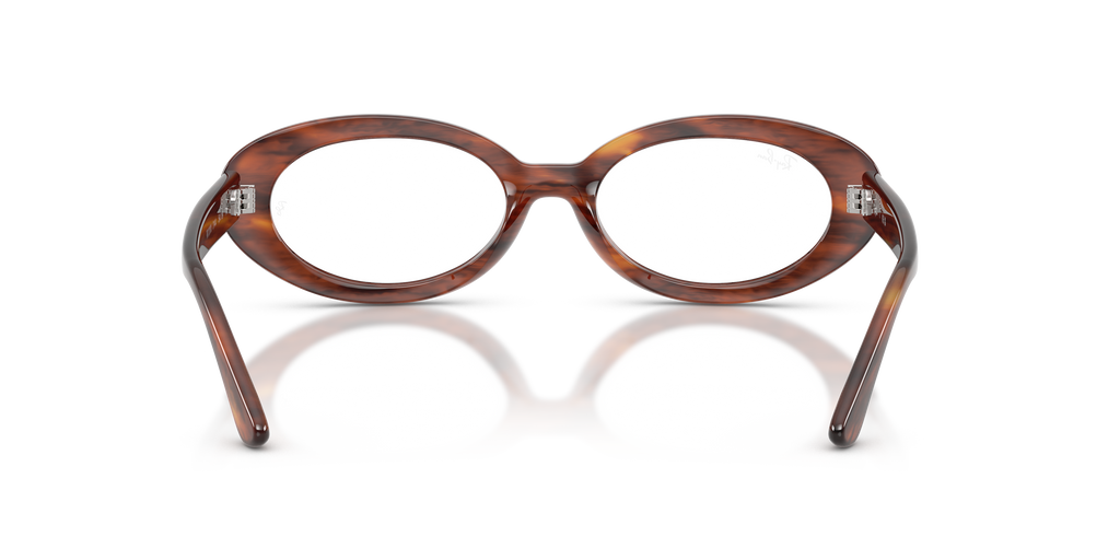 Ray-Ban RB2223V Optics