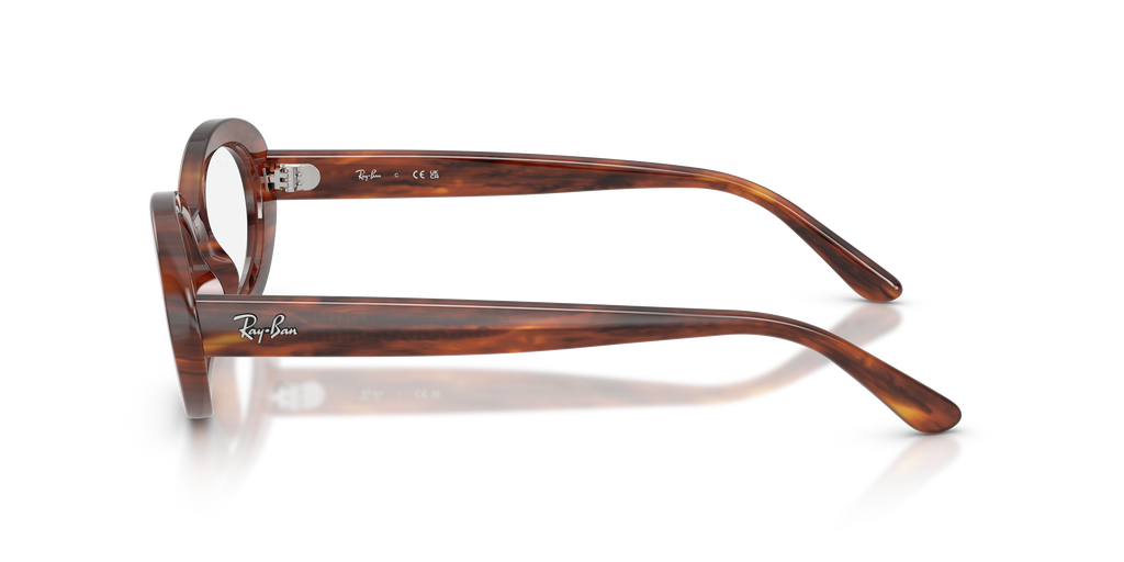 Ray-Ban RB2223V Optics