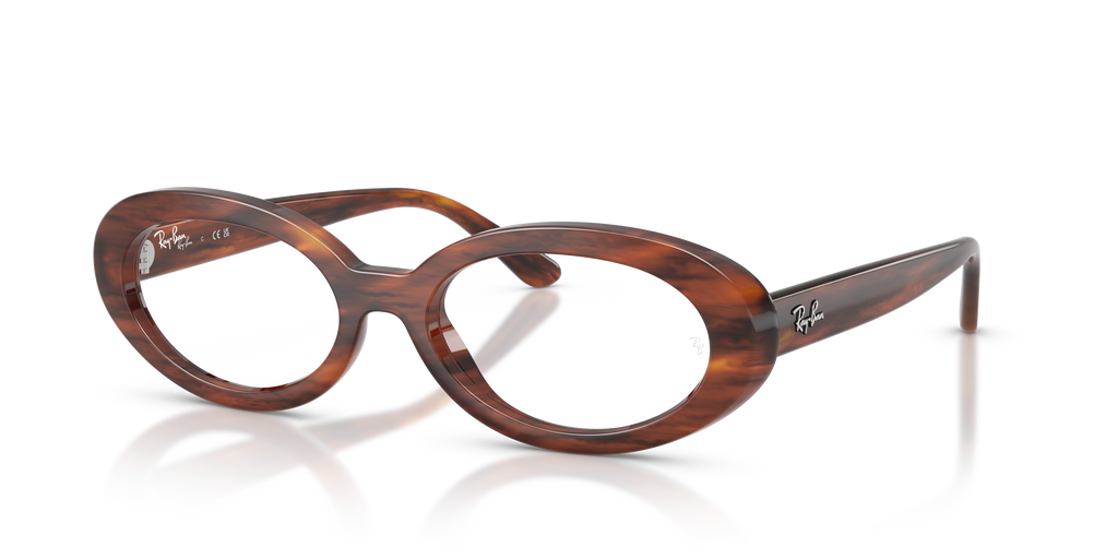 Ray-Ban RB2223V Optics