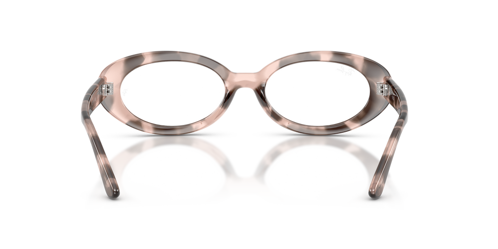 Ray-Ban RB2223V Optics