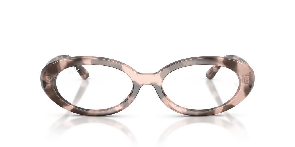 Ray-Ban RB2223V Optics