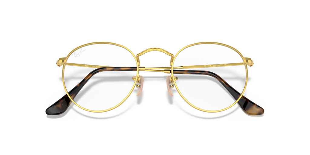 Ray-Ban RB3447V Round Metal Optics