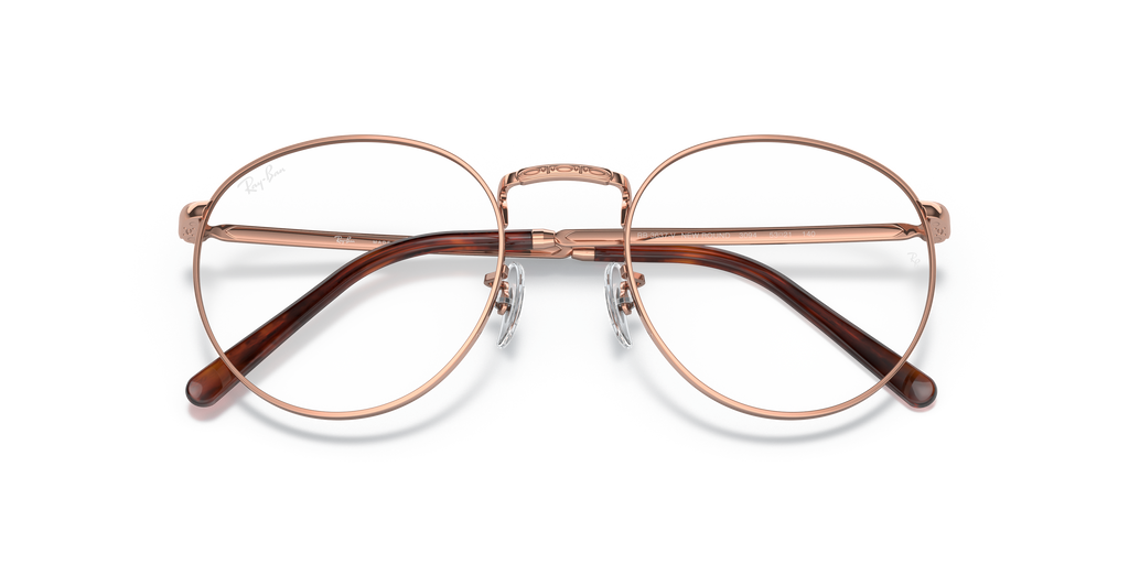 Ray-Ban RB3637V New Round Optics
