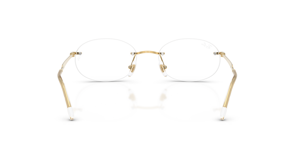 Ray-Ban RB3767V Optics