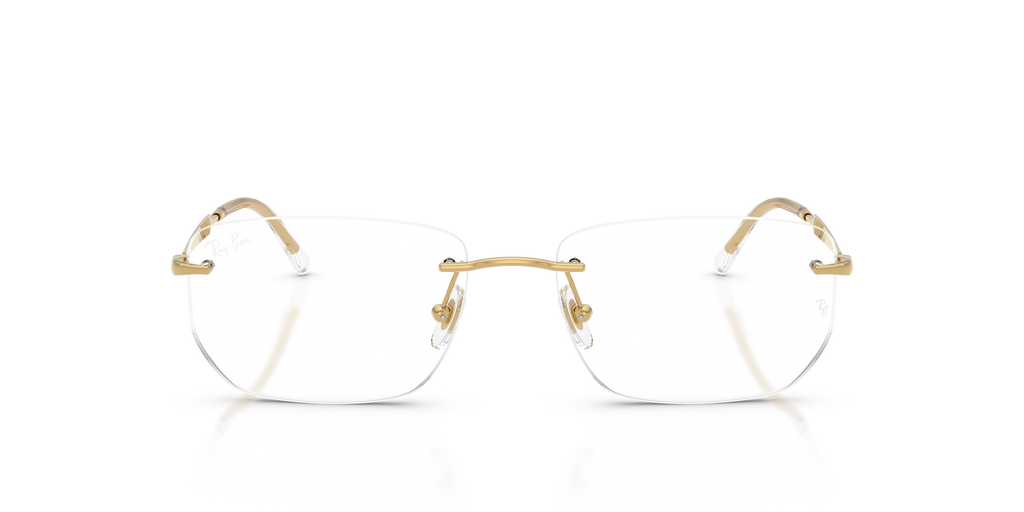 Ray-Ban RB3768V Optics