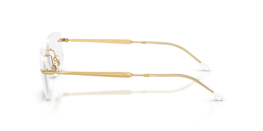 Ray-Ban RB3768V Optics