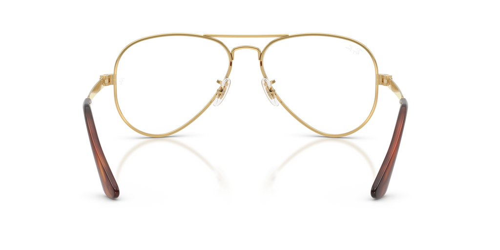 Ray-Ban RB3925V Aviator Max Optics