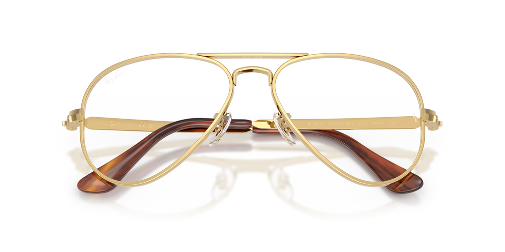 Ray-Ban RB3925V Aviator Max Optics