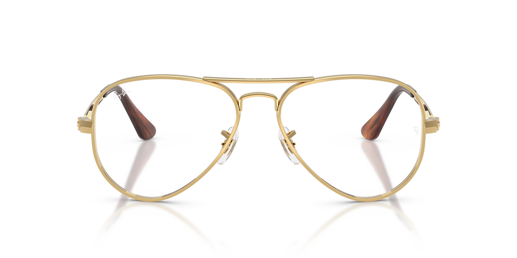 Ray-Ban RB3925V Aviator Max Optics