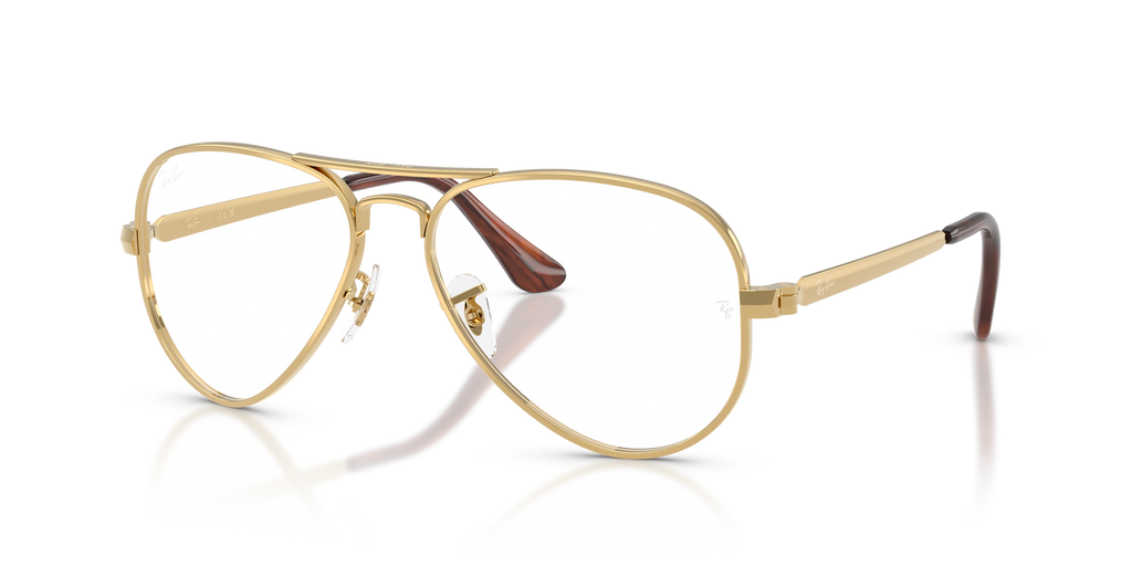 Ray-Ban RB3925V Aviator Max Optics