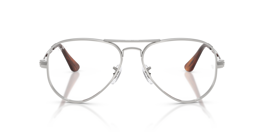 Ray-Ban RB3925V Aviator Max Optics