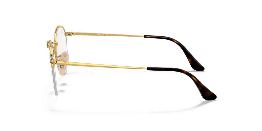 Ray-Ban RB3947V Round Gaze